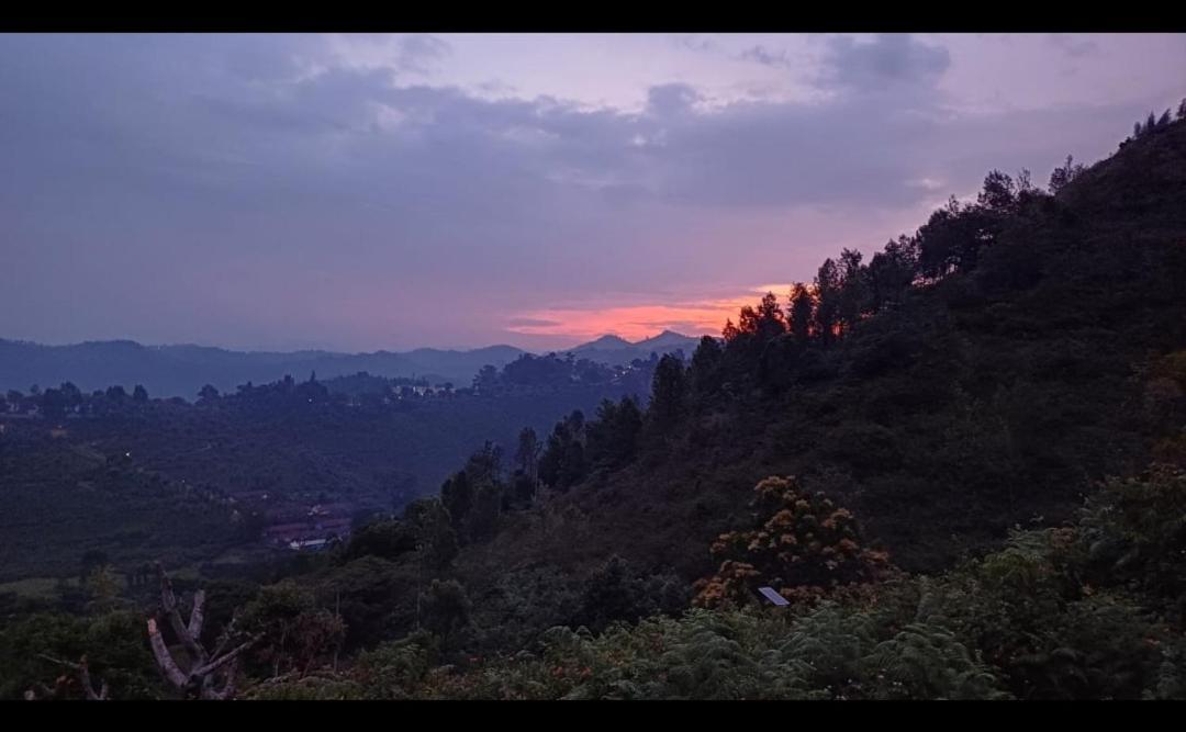 Joy House - 1 Bhk Cozy Entire House (Adults Only) Villa Ooty Exterior photo